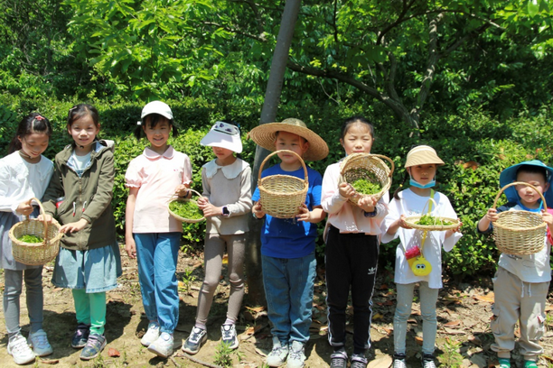 1717375007765991.png 4.png