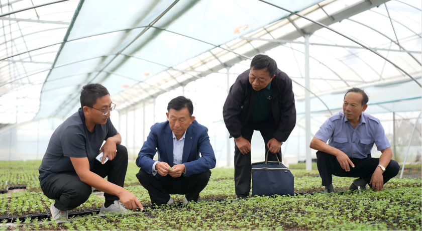 南京市江宁区关工委“五老”在创业青年农民李林的农场中帮助查勘种苗培育情况(1).png