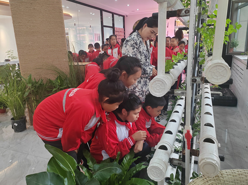校社联动种希望，科普同行育新苗 ——内蒙古赤峰市元宝山区西城街道新景四季东社区关工委小学生科普实践活动