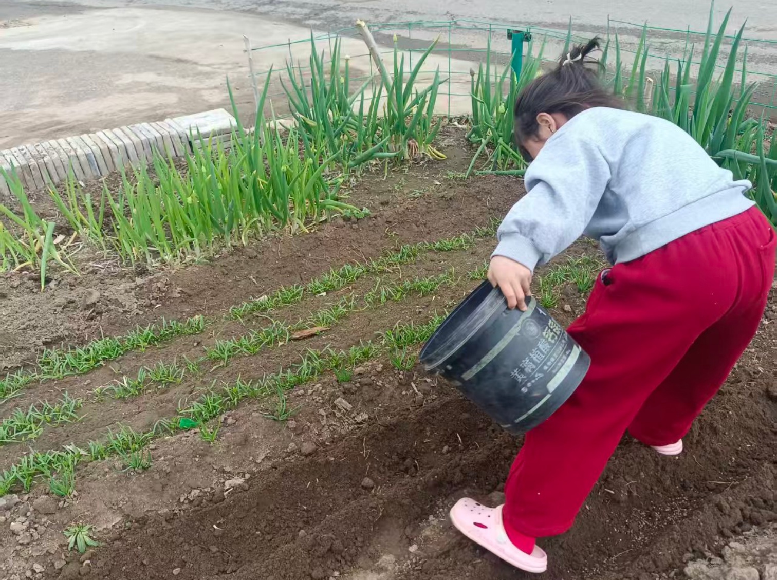 乐享劳动·赋能成长——内蒙古自治区赤峰市元宝山区马蹄营子小学关工委“五一”劳 动节主题活动
