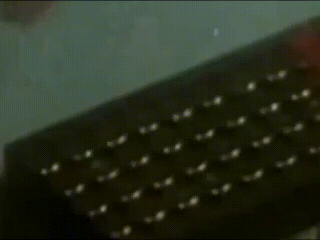 1984年的风吹到了2024