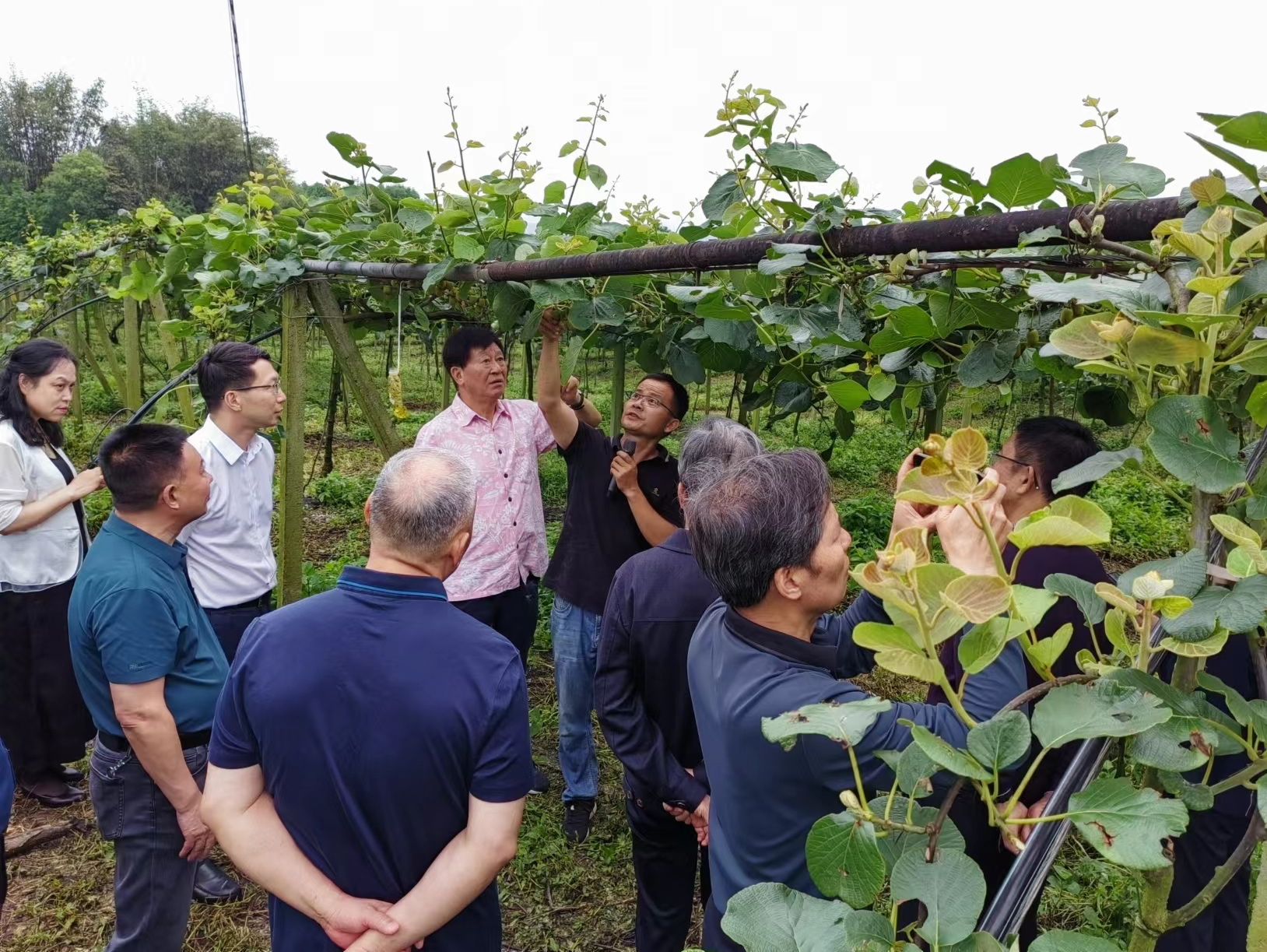 四川省关工委调研组调研泸州助力乡村振兴情况