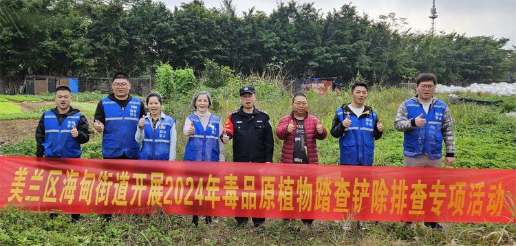海南省海口市美兰区关工委联合海甸派出所等部门开展第一季度毒品原植物踏查铲除排查专项行动