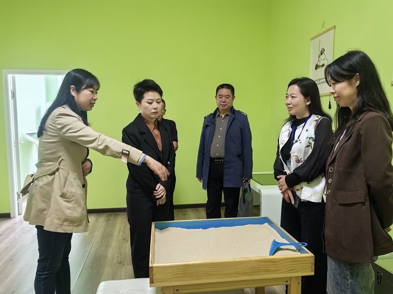 江阳区关工委调研“繁星计划”青少年心理健康关爱项目
