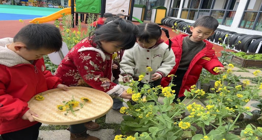 江西省抚州市崇仁县：开展惊蛰节气活动