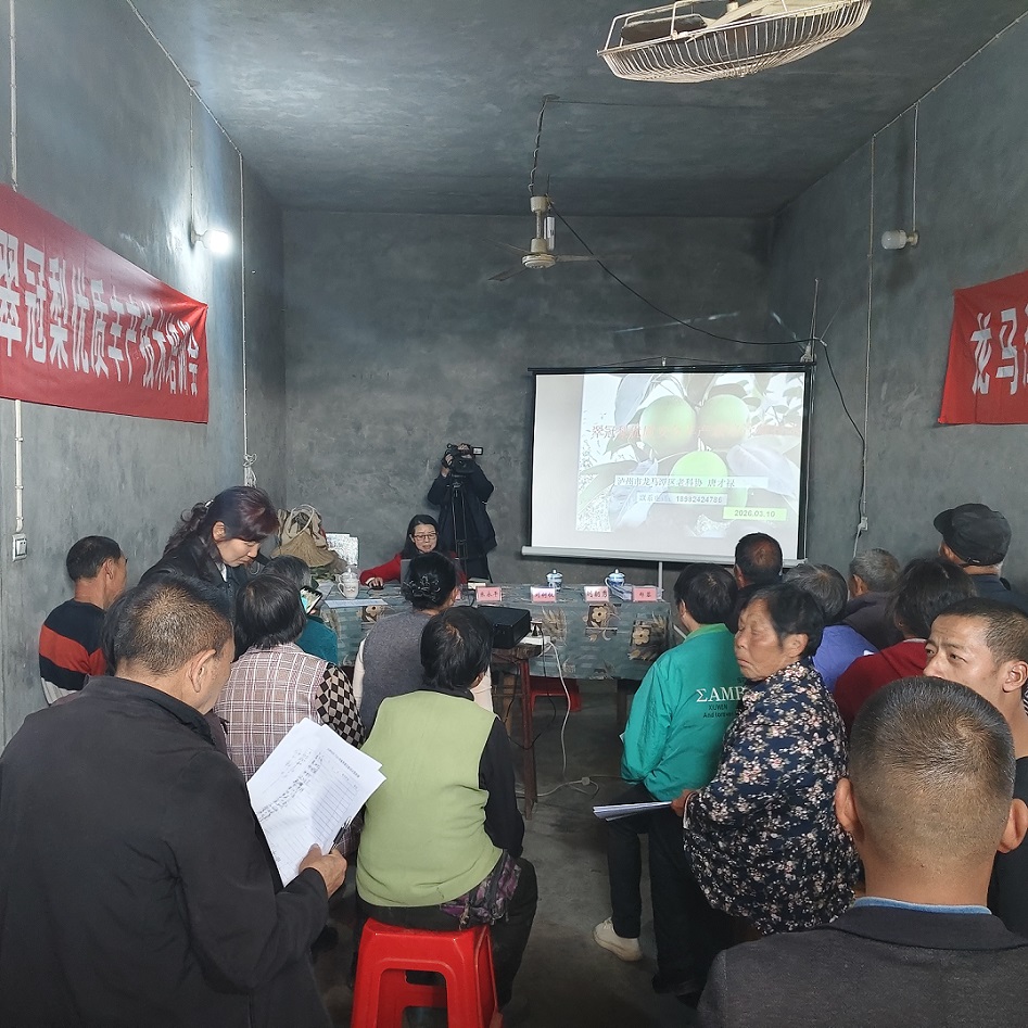 春风送技暖乡野 专家指导促增收 ——四川省泸州市龙马潭区双加镇关工委田间助农提技增收