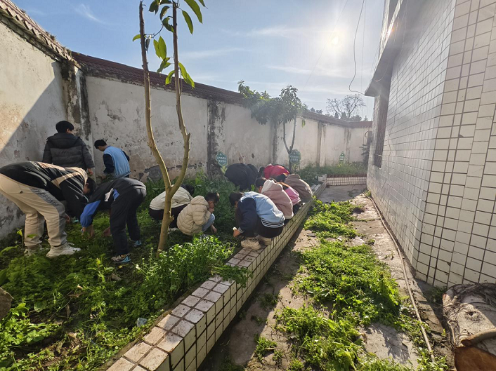 四川省自贡市富顺县骑龙镇柑坳九年制学校开展农作物探究实践活动