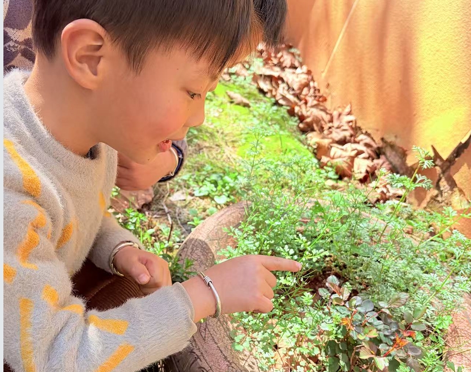 江西省抚州市崇仁县城乡小学、幼儿园关工委开展春分节气系列活动