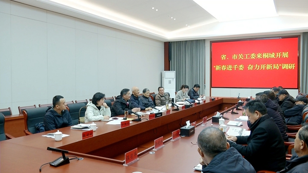 安徽省安庆市关工委到桐城开展“新春进千委 奋力开新局”调研张俊率队郎涛、宋圣军等参加