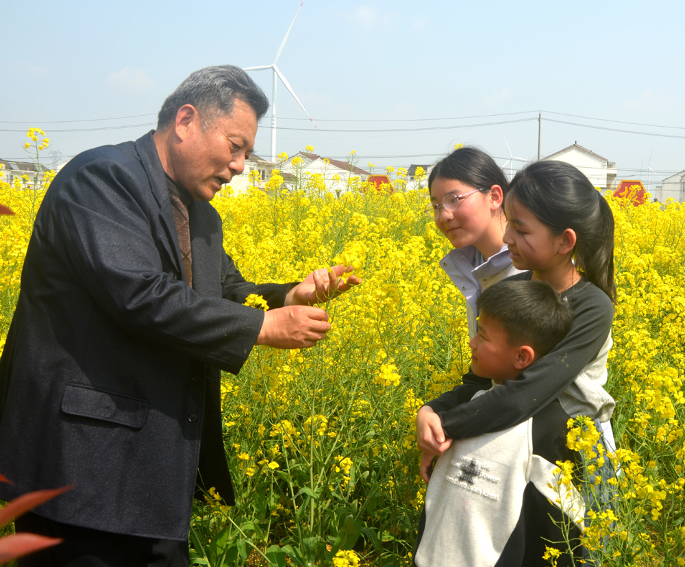 江苏省宜兴市杨巷镇的“杨巷风华”家庭辅导站老园丁组织几位中小学生，先后前往该的镇龙村丹英草莓园和邬泉村百亩油菜花田开展实践研学