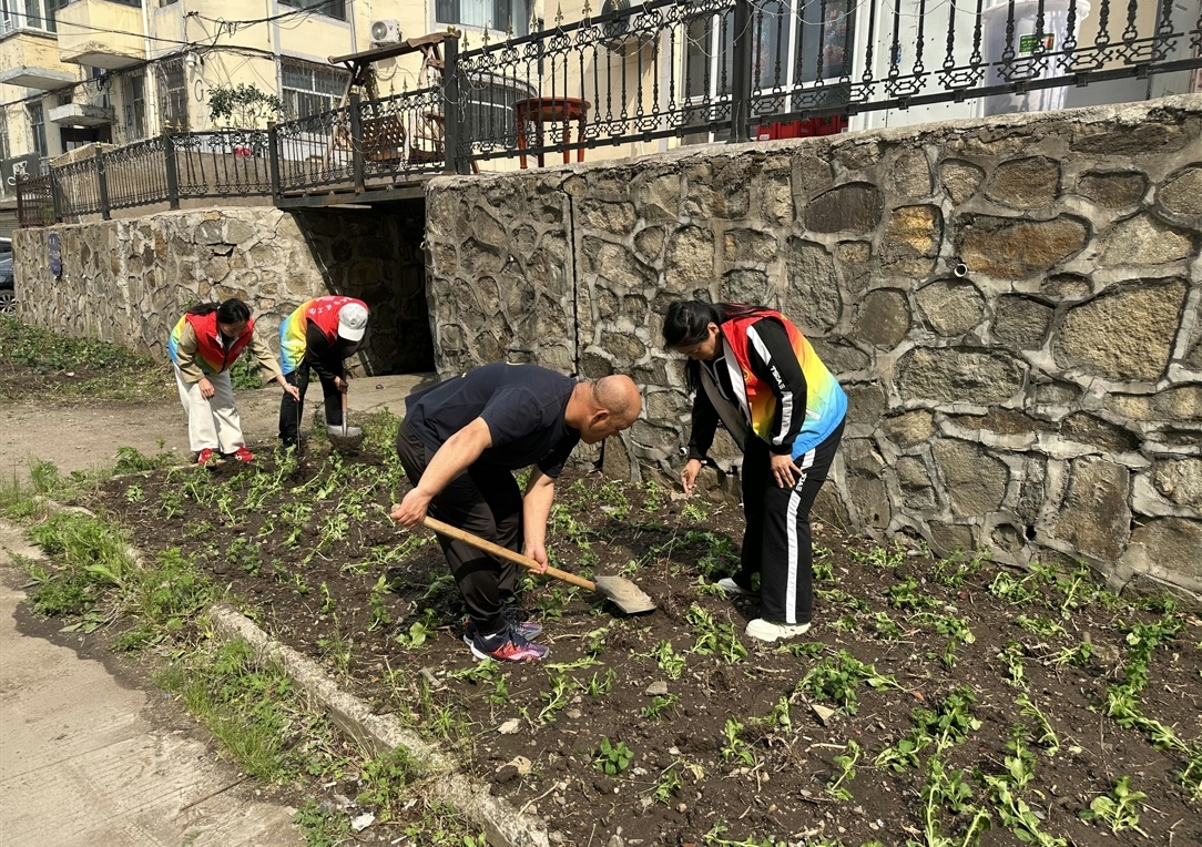 黑龙江省牡丹江市绥芬河市北海社区关工委、新时代文明实践站开展“播种绿色希望·共建美丽家园”植树绿化活动
