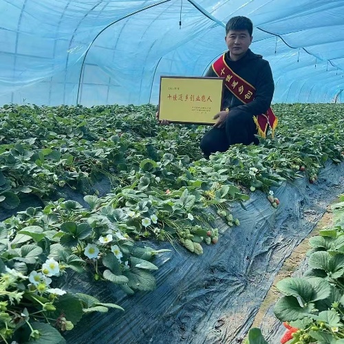 江苏省徐州市铜山区大彭镇关工委帮扶青年致富能手杨国强创办桂发家庭农场