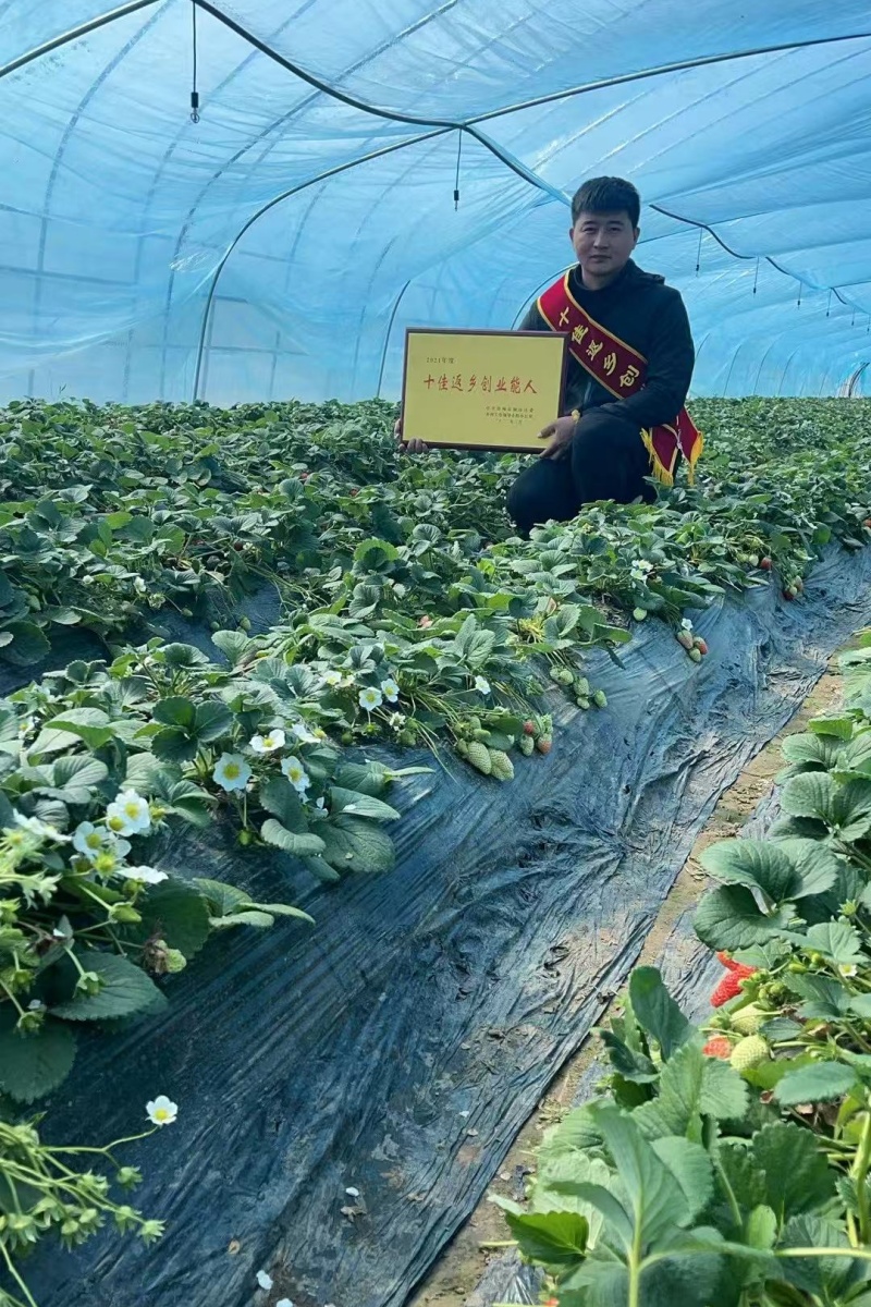 甘带群众致富的带头人——江苏省徐州市铜山区关工委帮扶青年“创业之星”杨国强侧记