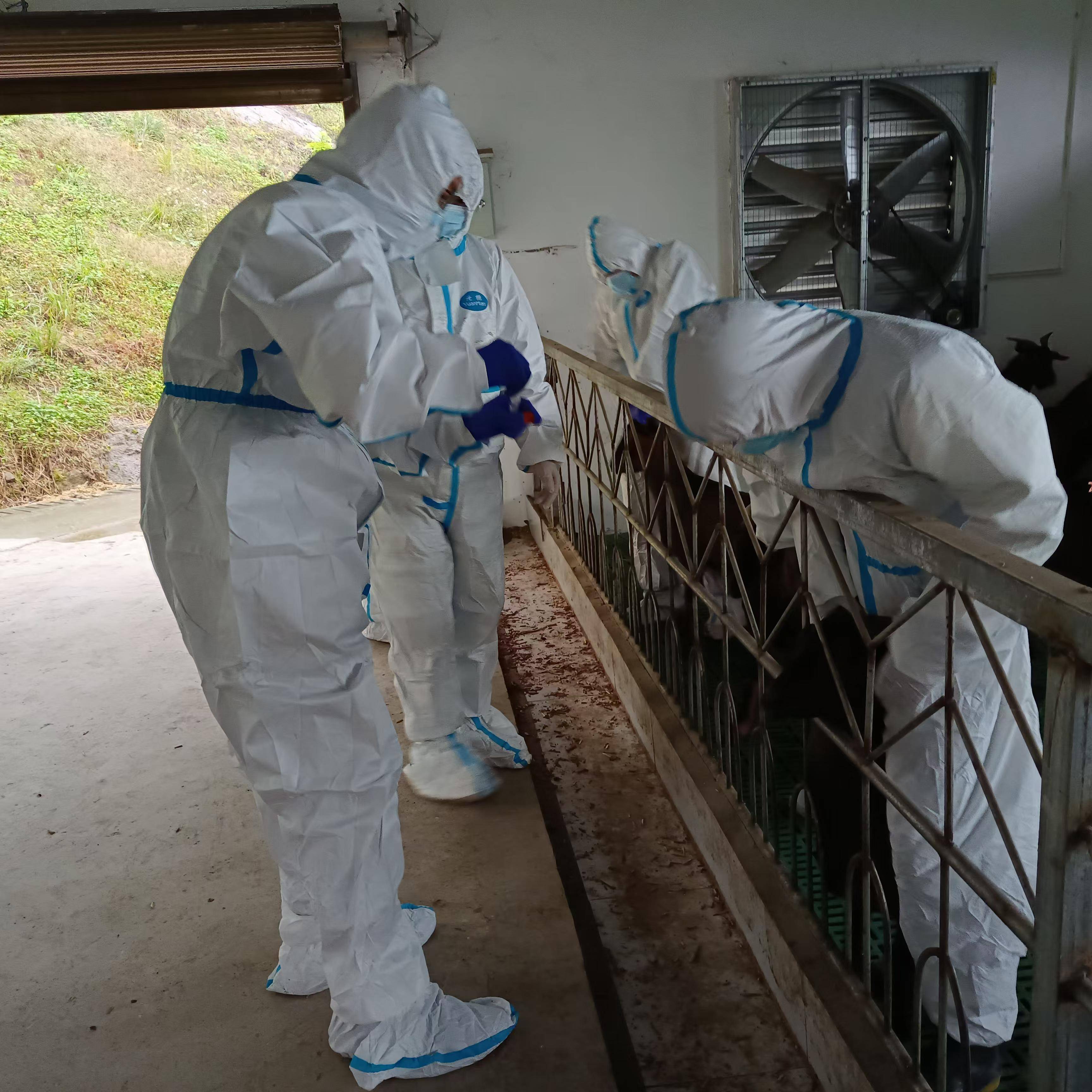 “五老”志愿者兽医老专家把论文写在肉山羊产业上