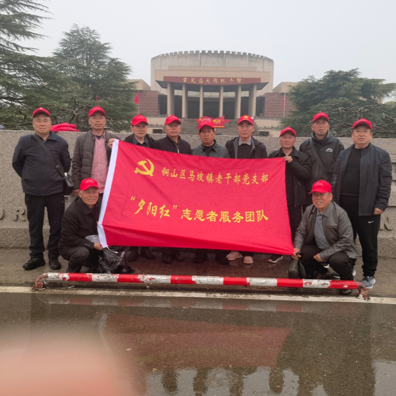 夕阳红祭英烈 台儿庄守初心——江苏省徐州市铜山区马坡镇关工委开展“缅怀革命先烈、传承红色精神”祭扫活动