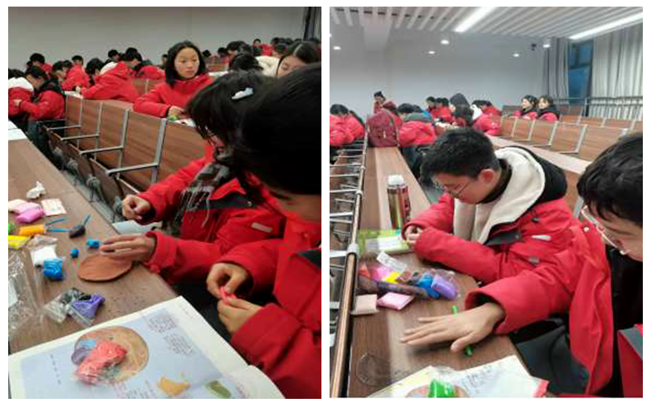 1704273404855433.png 1.png