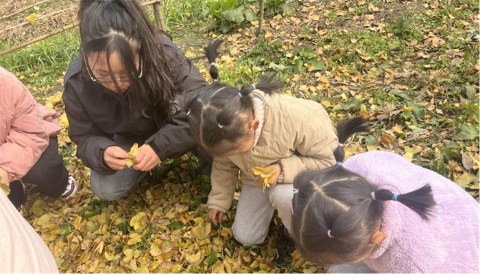 1704276319141802.png 2024010221241463735.png