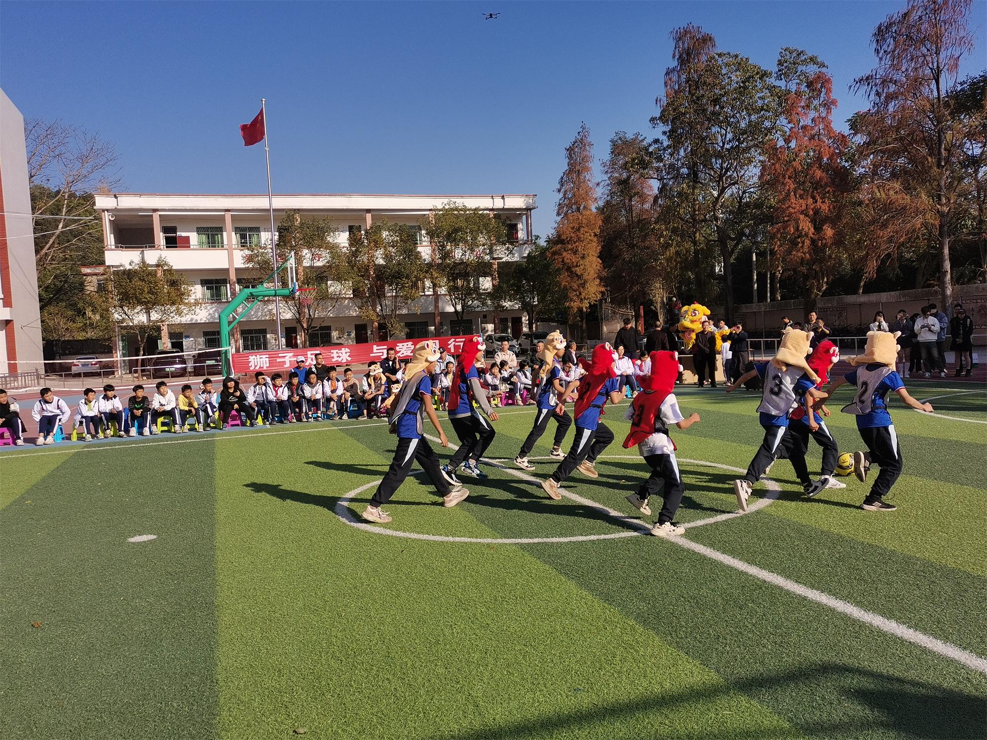 1704356392946073.jpg 6.jpg