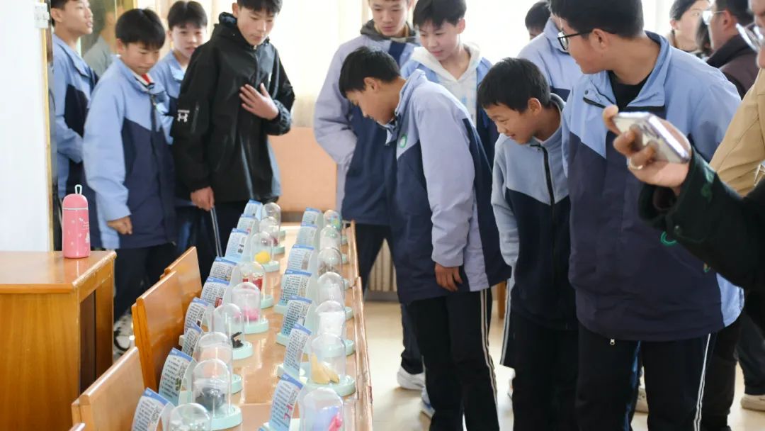 1704442768134470.jpg 会东开展禁毒宣传进校园 (1).jpg