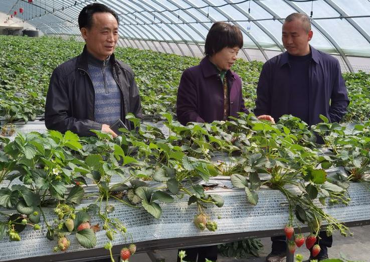 1705480909394927.jpg 0001.jpg