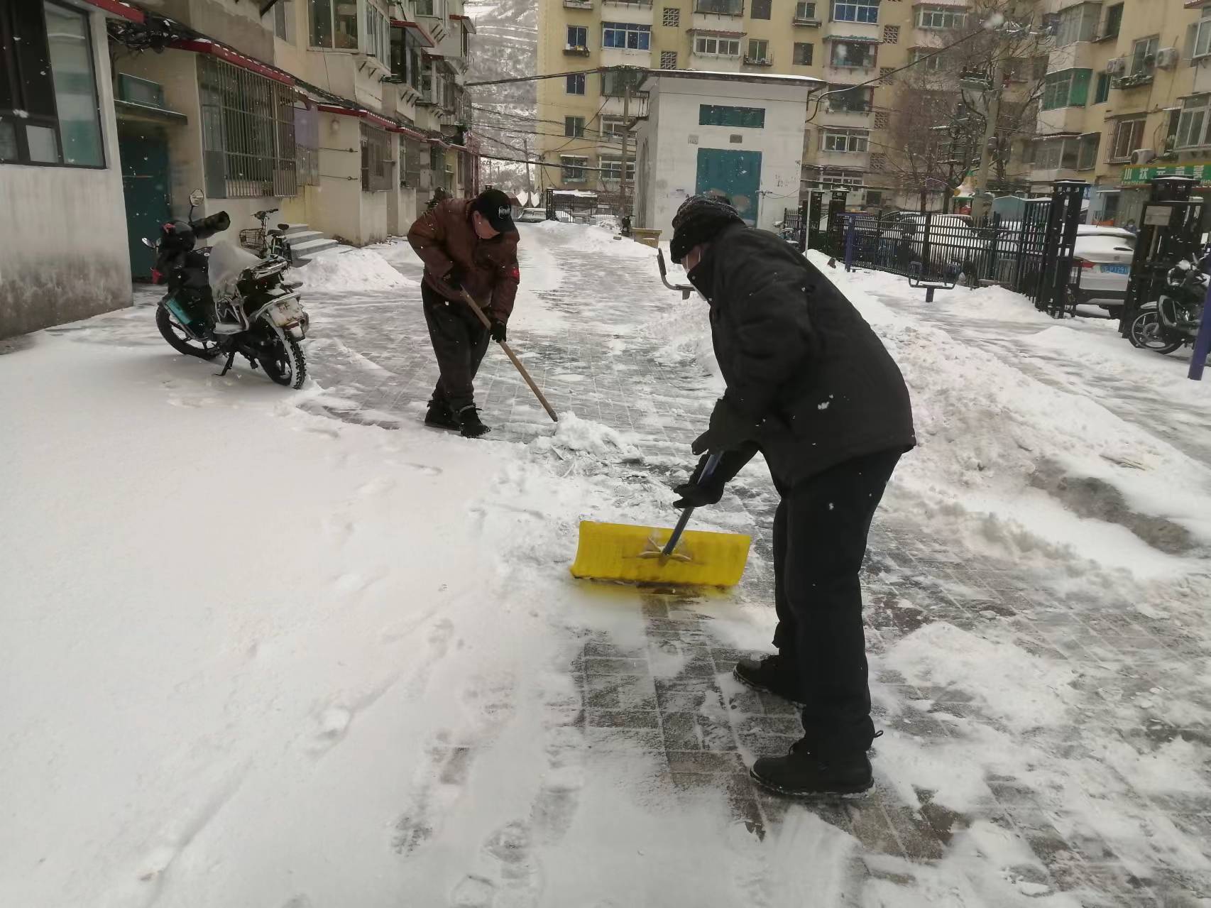 微信图片_20240202091619.jpg