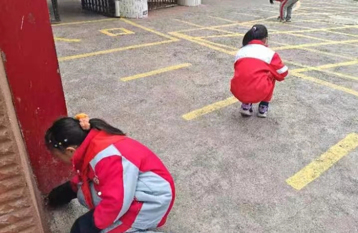 1709614077716006.jpg 712edeb662f901faad514d290e11df6.jpg