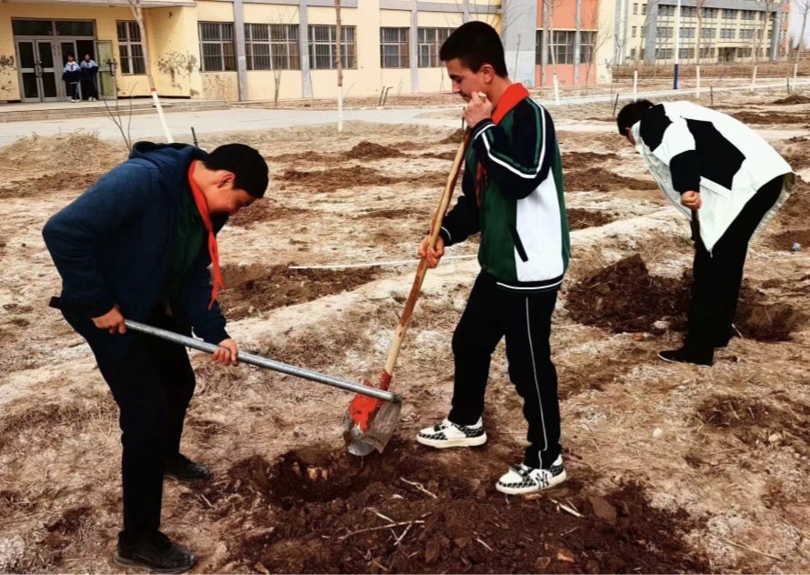 1710170237563973.jpg 1.jpg