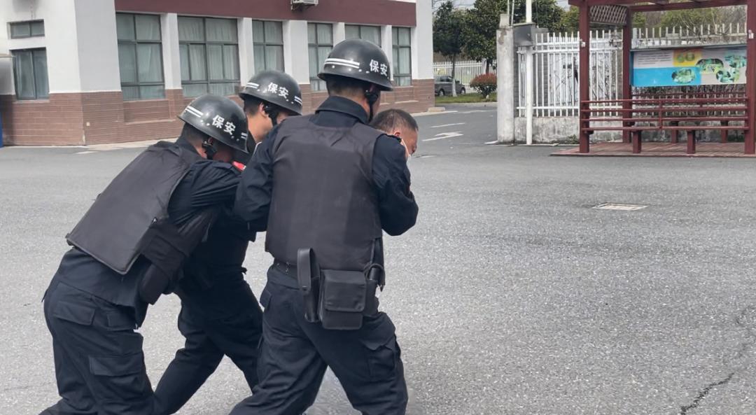 1711496987554812.jpg 凤2.jpg