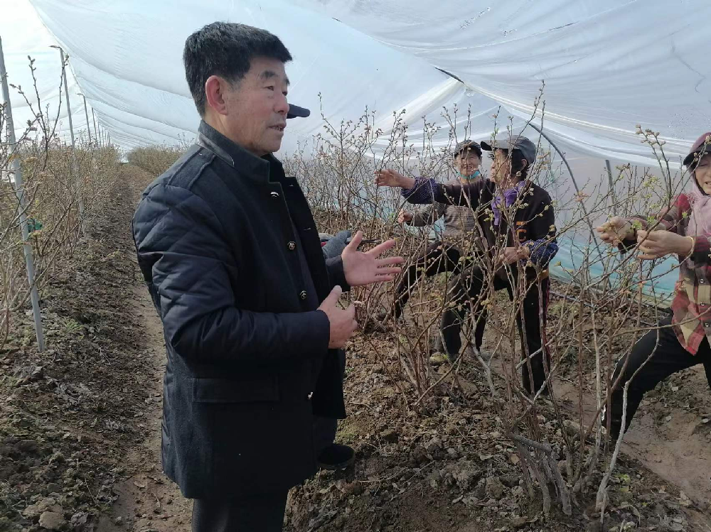微信图片_20240327094202.png