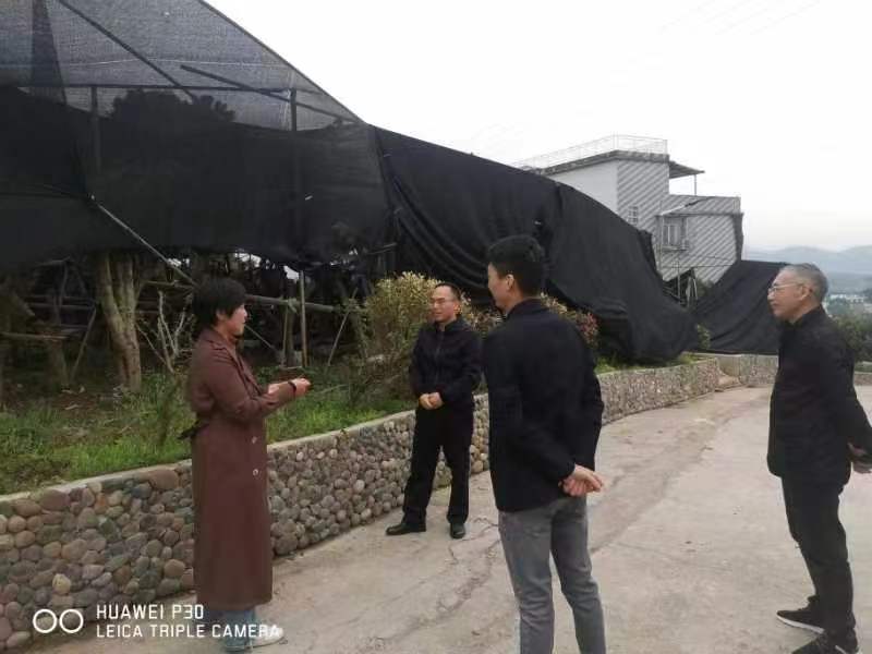 微信图片_20240327161804.jpg