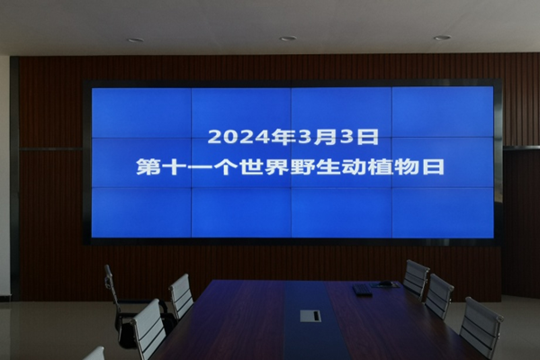 图片1_副本.png