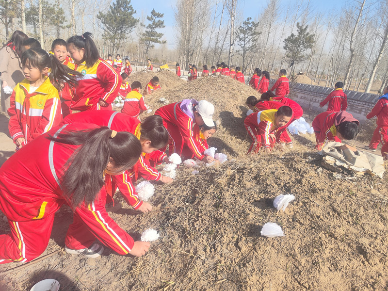 1712047084678928.jpg 元宝山区马蹄营子学校清明节活动照片6jpg_副本.jpg