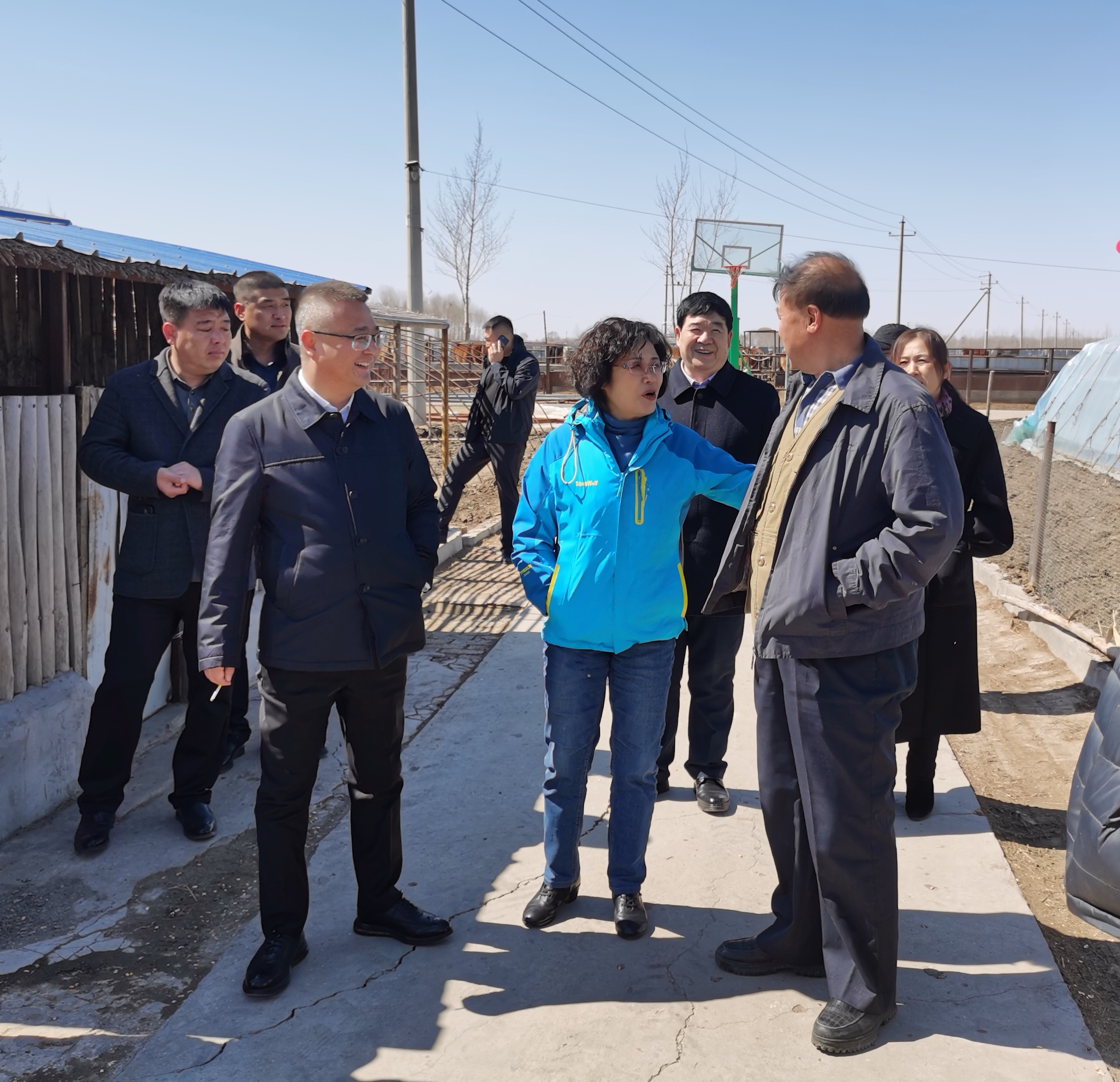 1712581692895064.jpg b.jpg