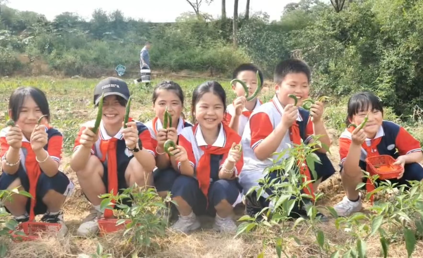 1716158166437093.jpg 劳动1.jpg