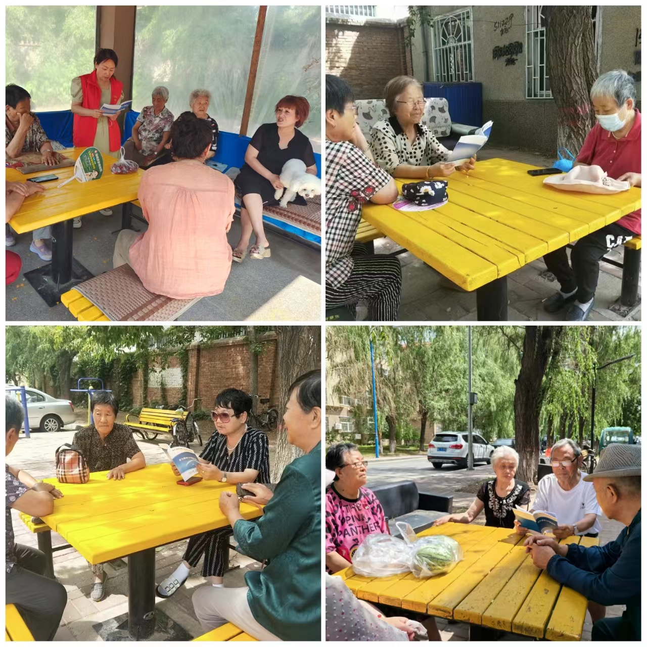 大庆市红岗区八百垧街道阳光社区开展“普法进凉亭”法治宣传活动 (1).jpg