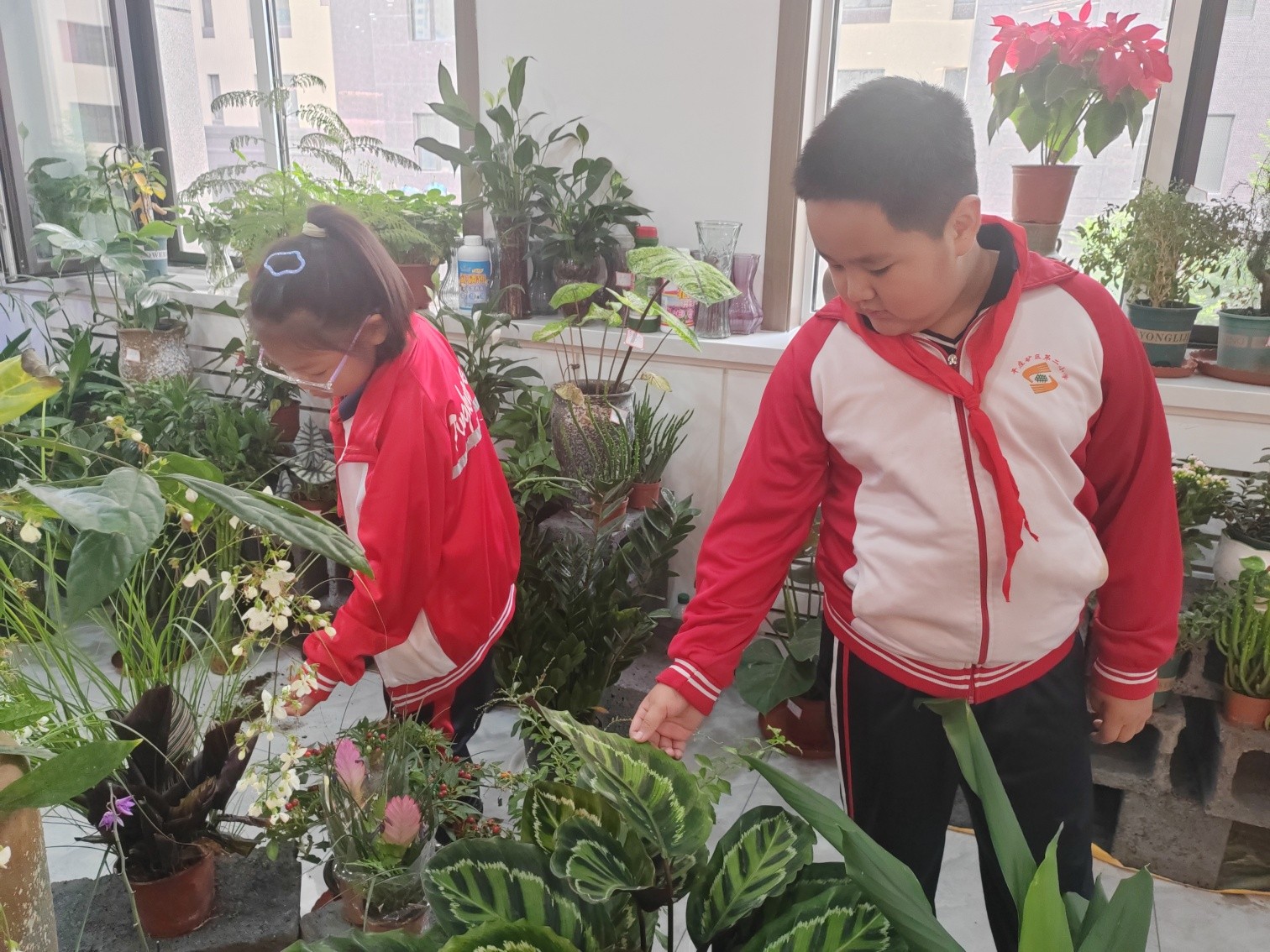 1726707212511535.jpg 元宝山区西城街道新景四季东社区关工委、西城小学关工委组织学生开展节日参观活动照片3_副本.jpg