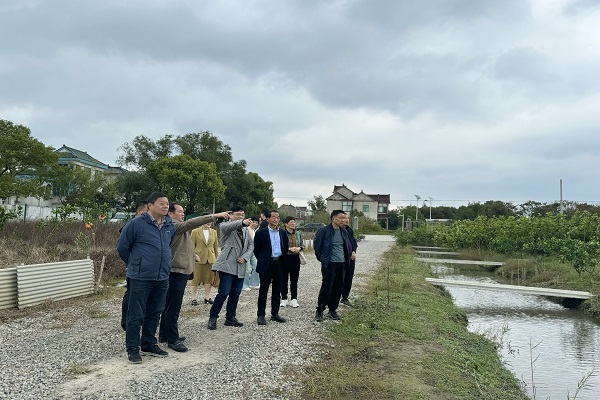 1730359720501742.jpg 震泽“五老”调研三扶两创工作1.jpg