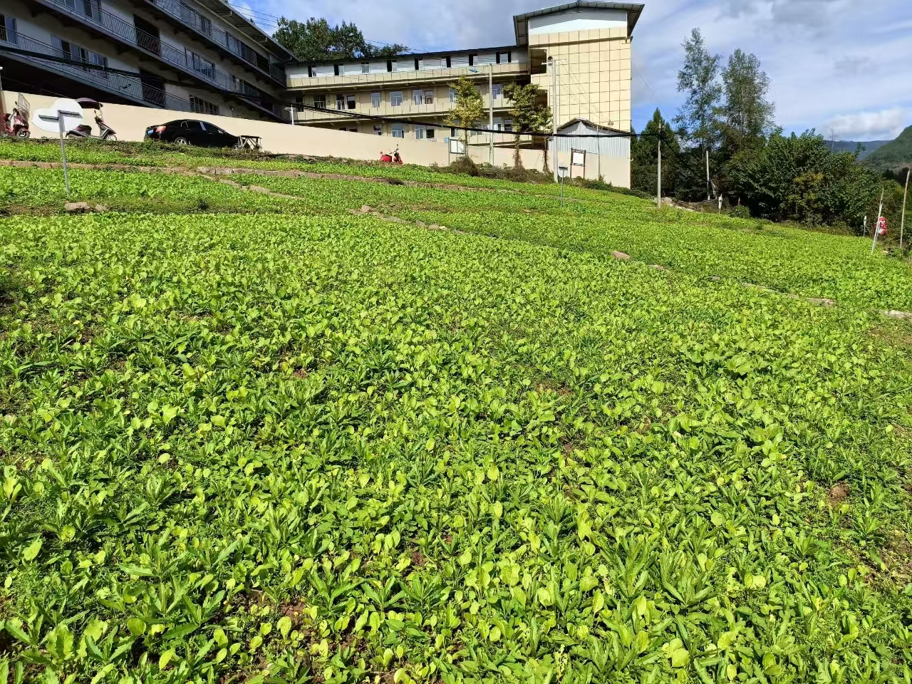 1731575731374714.jpg 微信图片_20241114165232.jpg