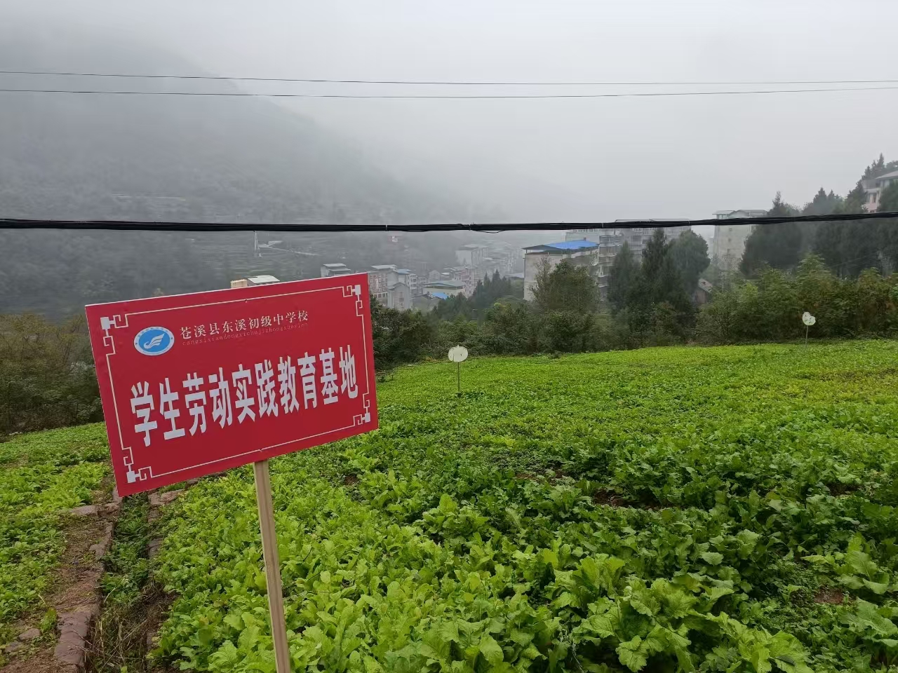 1731575754713599.jpg 微信图片_20241114165219.jpg