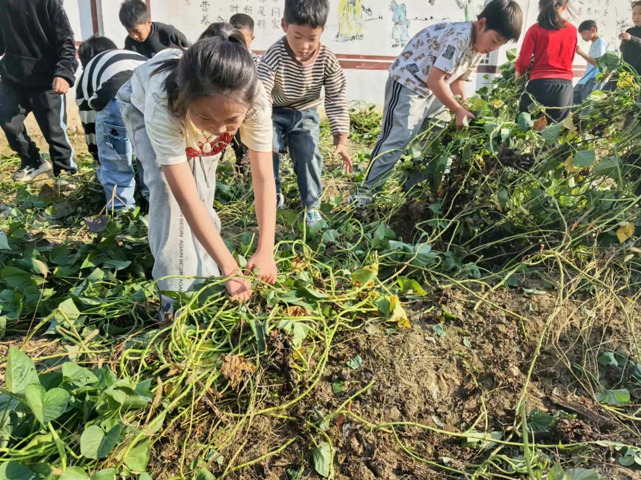 1731635284346872.jpg 微信图片_20241115094255.jpg