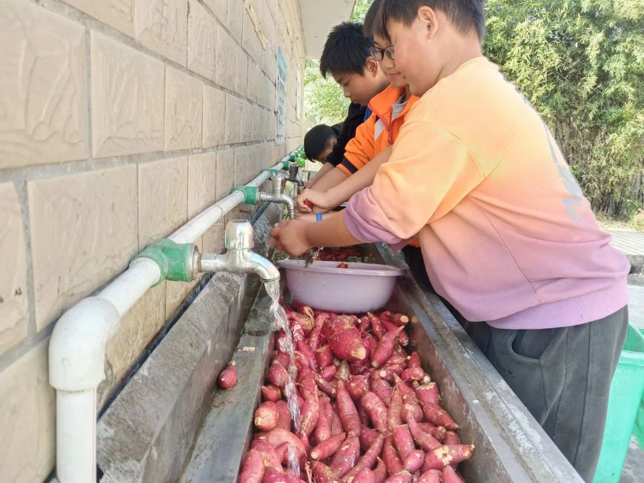 1731635375421278.jpg 微信图片_20241115092845.jpg