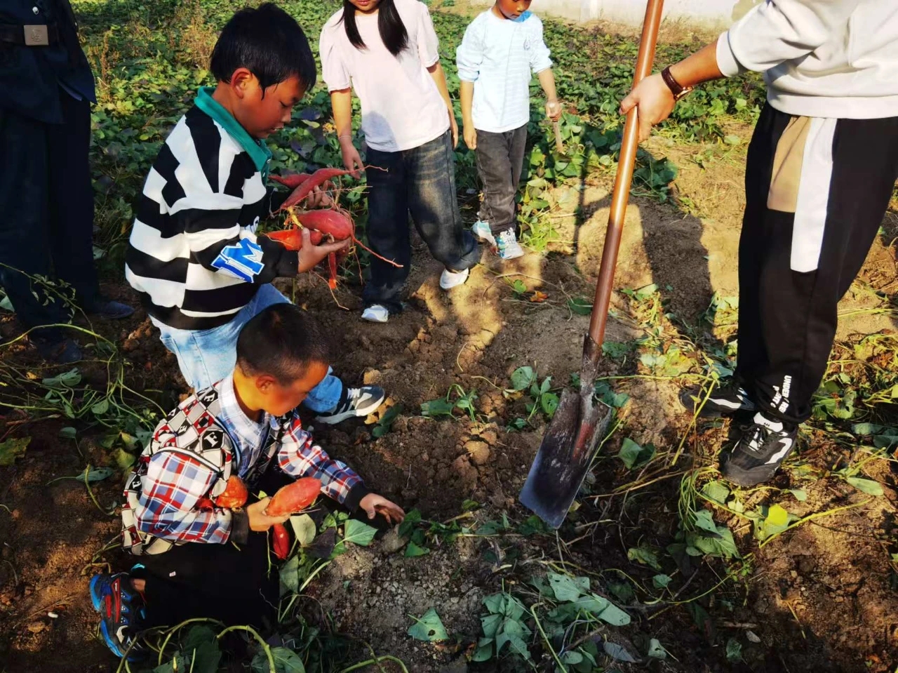 1731635477253336.jpg 微信图片_20241115092924.jpg