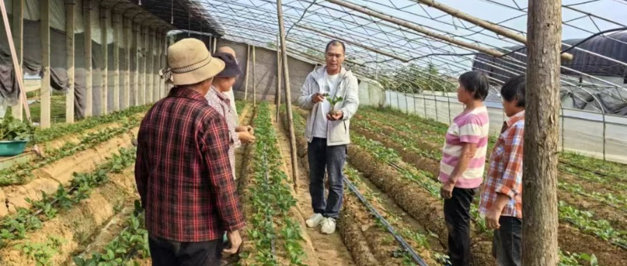 1732355697399050.jpg 01.jpg