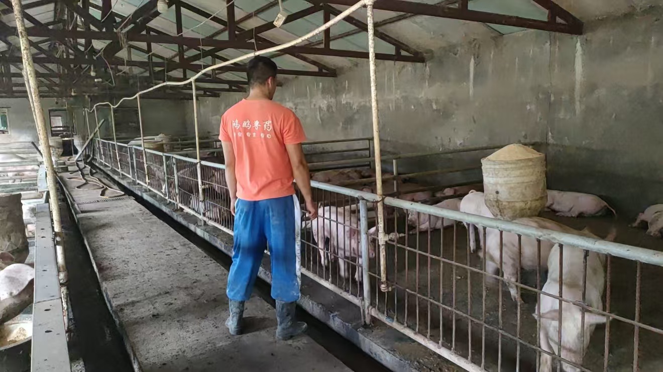 1733549080448823.jpg 微信图片_20241207124704.jpg