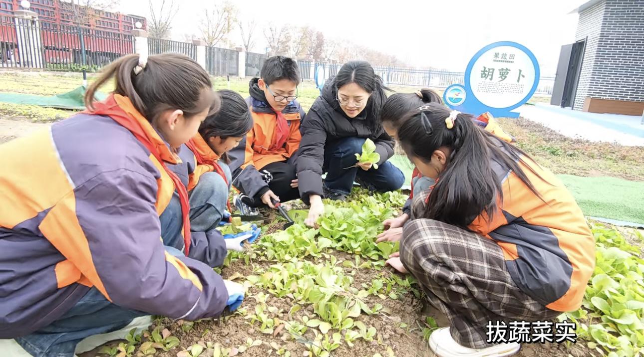 1734422903781313.jpg 图片4.jpg