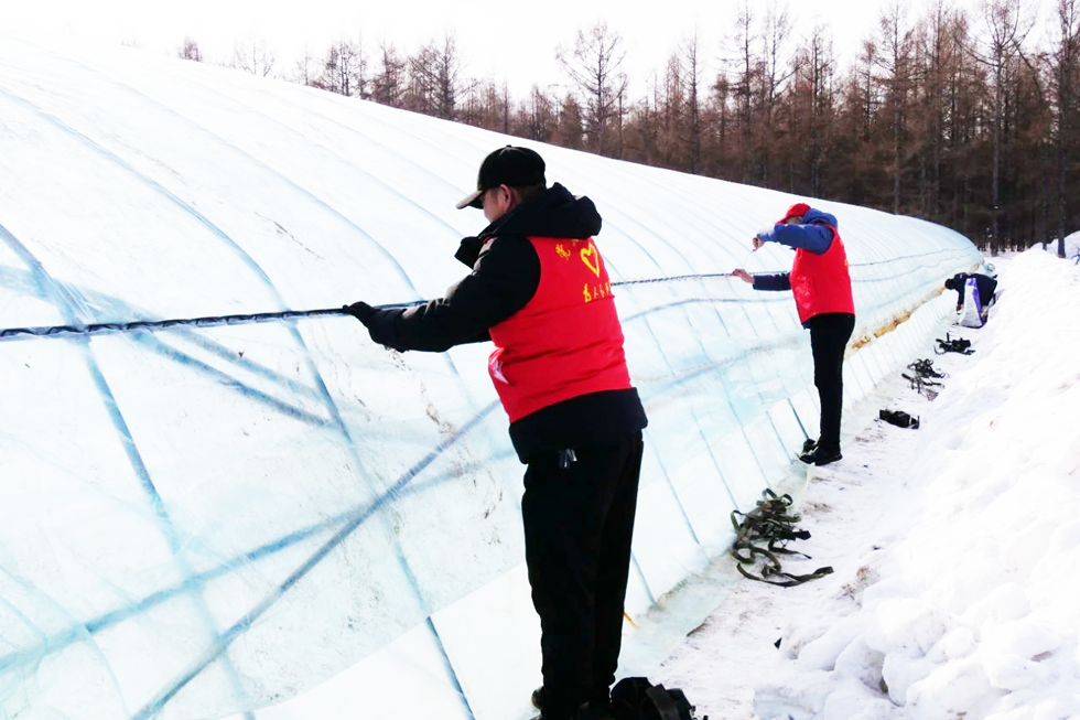 1739933164530932.png 图片1.png