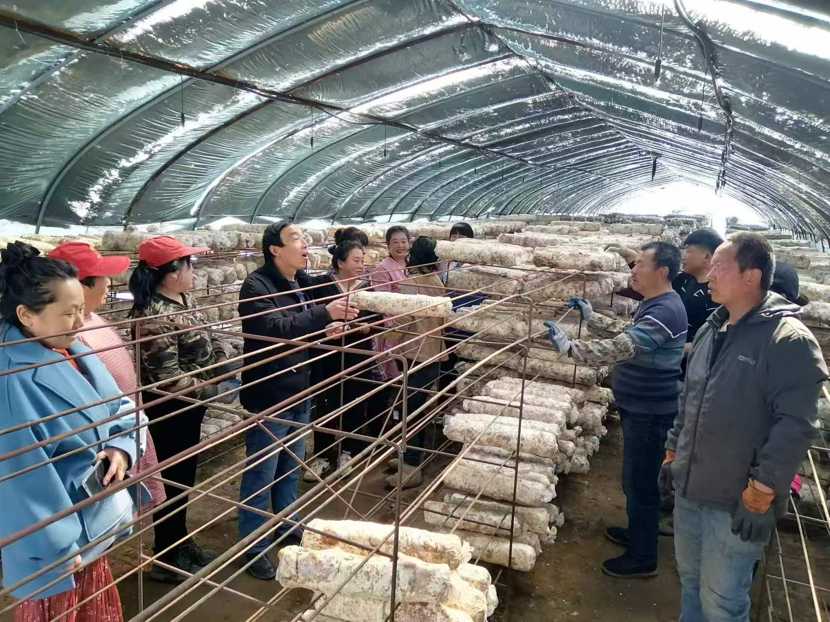 1740878779367870.jpg 微信图片_20250302084638.jpg