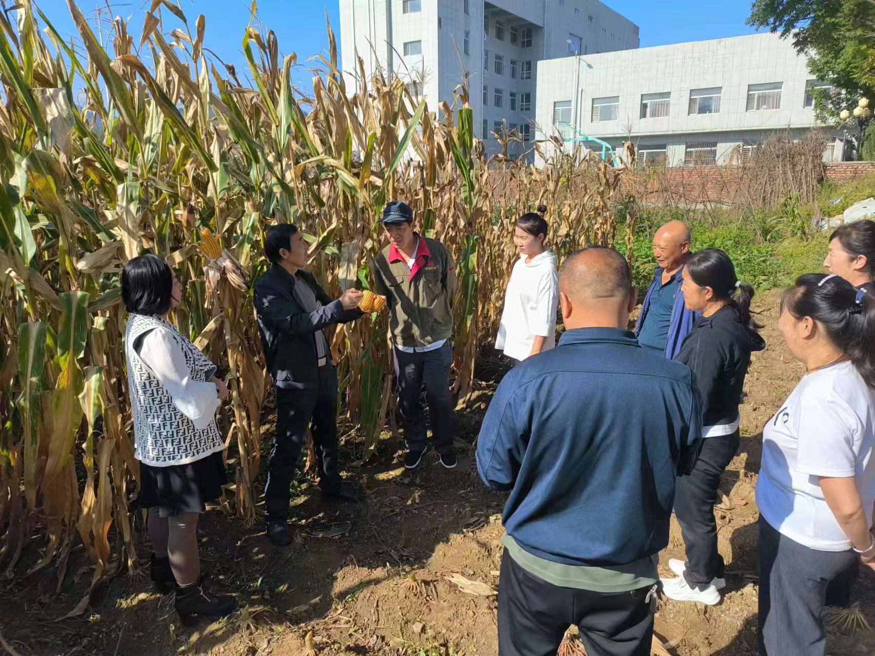 1740878867305360.jpg 微信图片_20250302084653.jpg