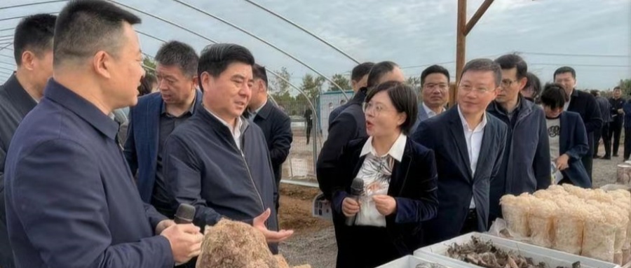 1741436048926135.jpg 001.jpg