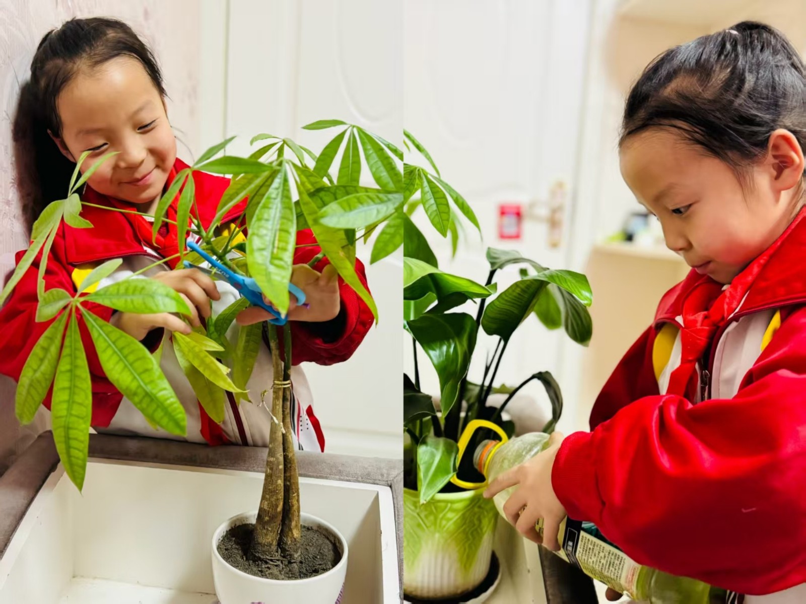 1741919792676170.jpg 元宝山区元宝山小学植树节活动照片16_副本.jpg